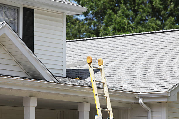 Best Hoarding Cleanup  in Ashland, AL